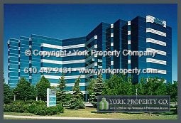 Exterior stainless steel building facade mullions, panel and extrusion cleaning, refinishing and stainless steel restoration.