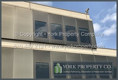 A company that cleans peeling lacquer off of building exteriors.