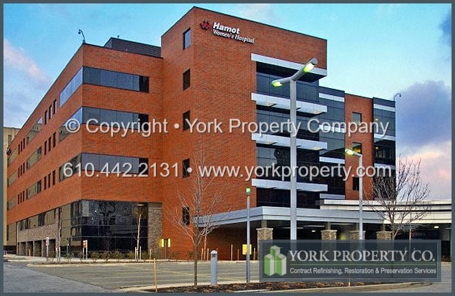 Cleaned, refurbished and restored bronze anodized aluminum window frames protected from further damage.
