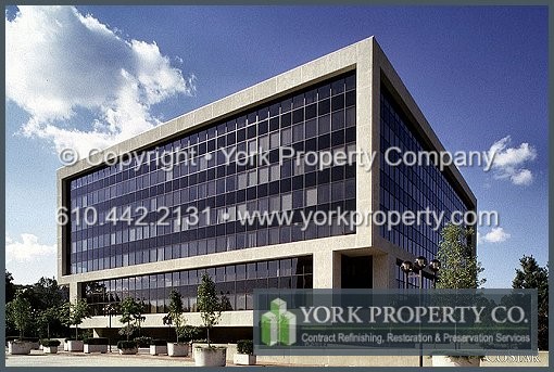 Curtain Wall Window Mullion Faded Paint Restoration and Reconditioning