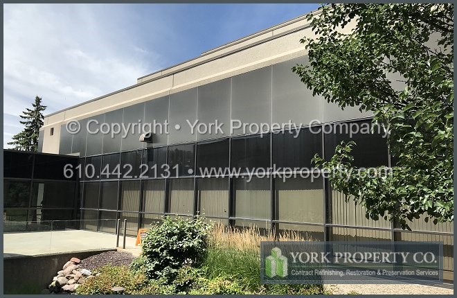 Service that cleans dirty anodized aluminum exterior storefront panels.